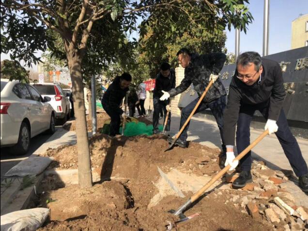 经发集团本部全员开展春季义务植树活动，为经开添新绿增新妆