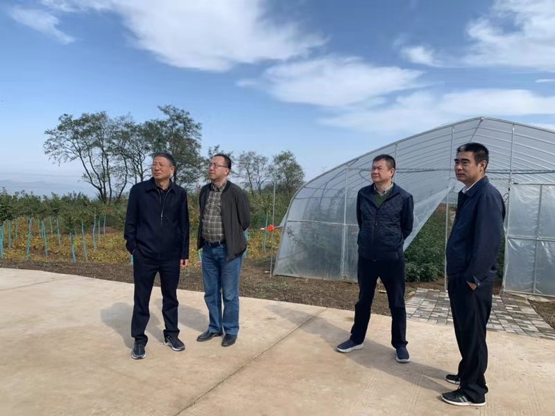 C:\Documents and Settings\kingfar\桌面\微信图片_20191018155122.jpg