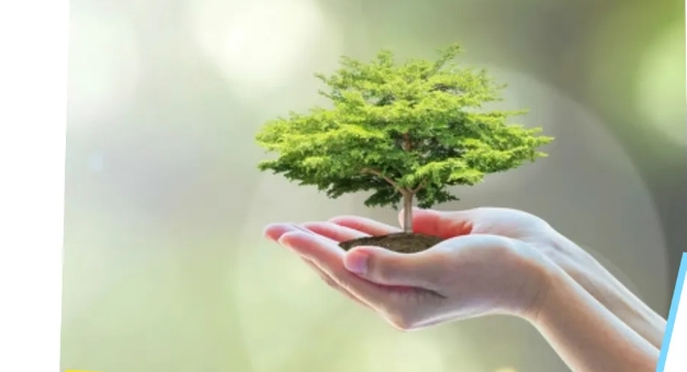 添新绿 “植”未来