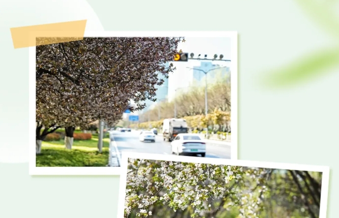 春色如画 美在经开