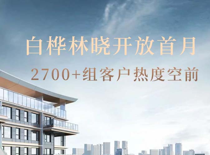 白桦林晓开放首月 2700+组客户热度空前！